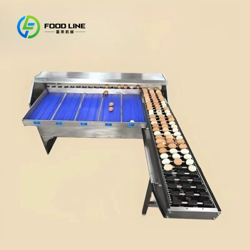 

Egg weight sorter/Egg washing sorter/Egg sorter