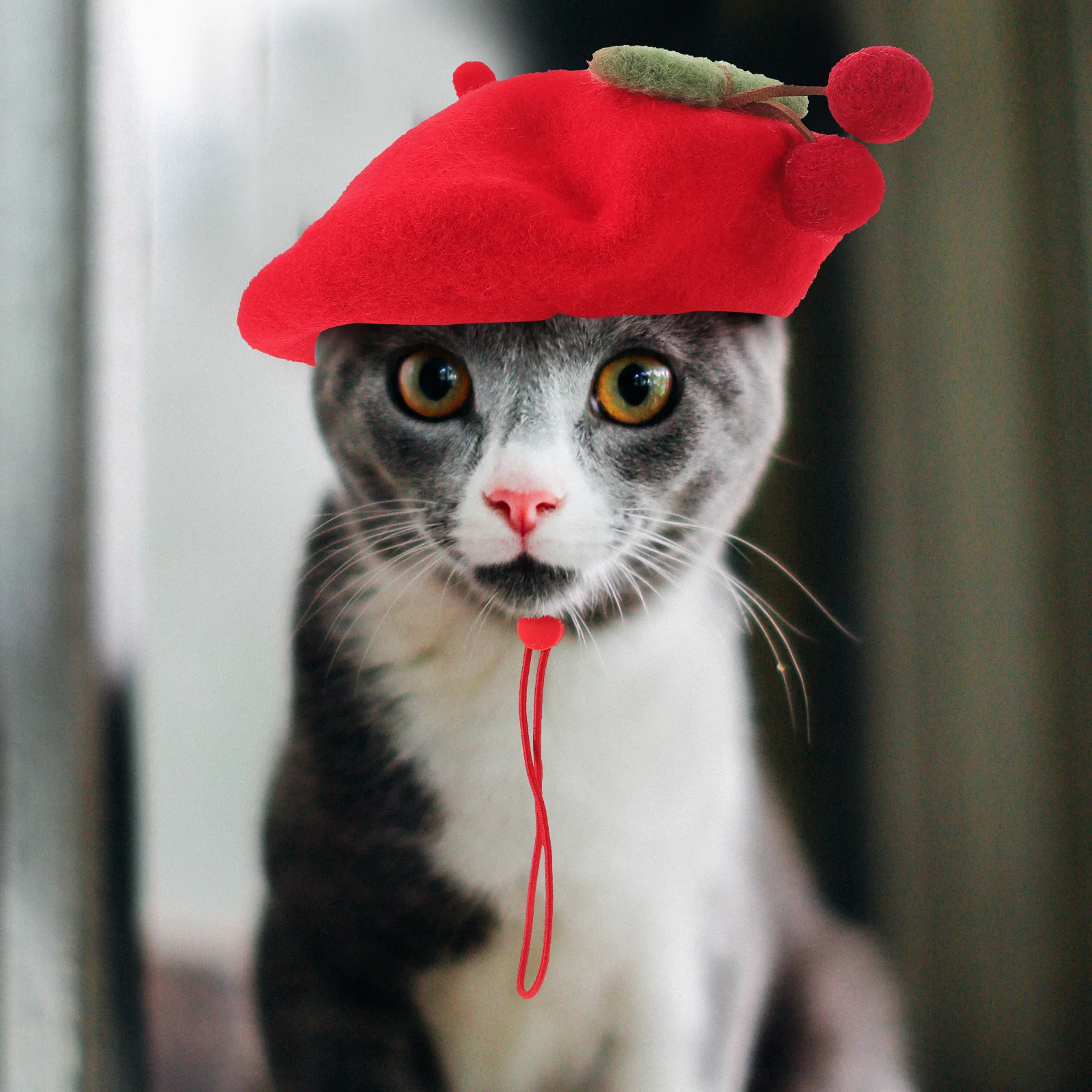 

Pet Cherry Beret Hat Lightweight Wool Cap Breathable Soft Fleece Dog Beret for Cats Small Dogs Puppy Costume Photo Props