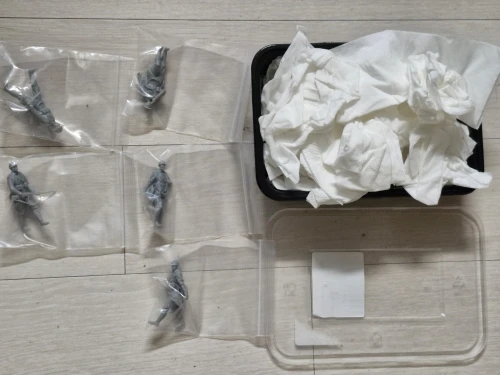 Buyer photo of this resin kit
