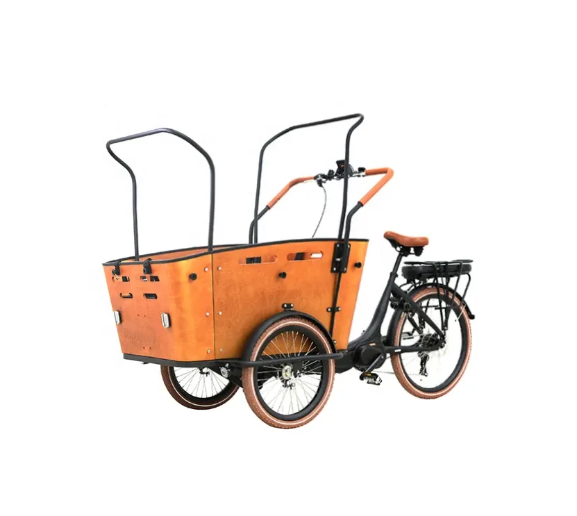 Trike elétrico da cauda longa para a família, bicicleta do torque da carga, bicicleta luxuosa, assento de estrela máximo, quadro do motor, estilo da bateria do poder, engrenagens do motor