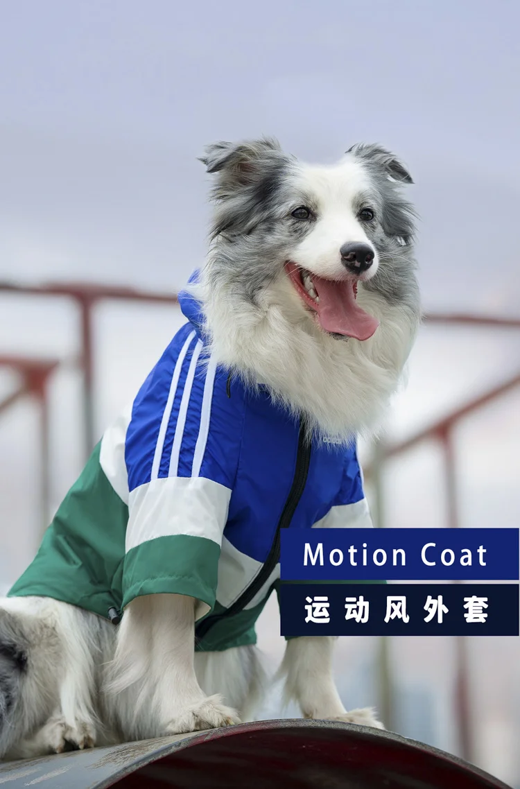 Waterproof Raincoat for Dogs, Dirty Clothes, Medium and Large Dog, Autumn