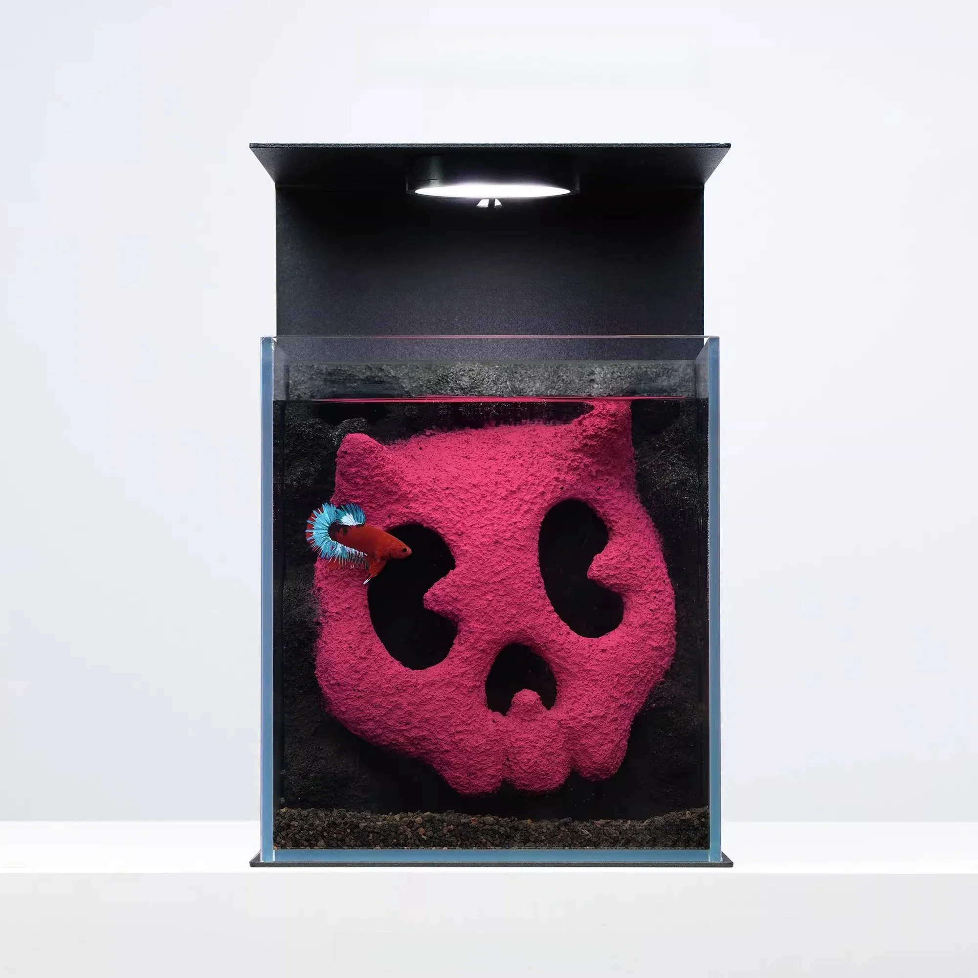 Ghost horse, trendy home furnishing, decoration, micro-landscape, special for fighting fish, landscaping glass fish tank