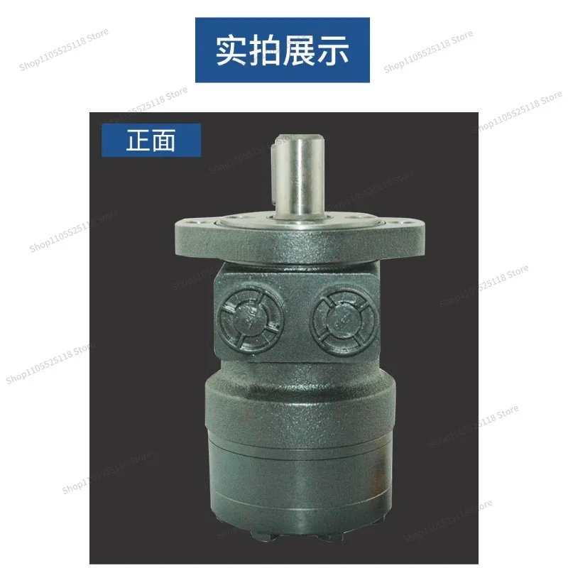 For Oil Motor Winch OMRS- 36/50/80/100/125/160/200/250/315 High Torque