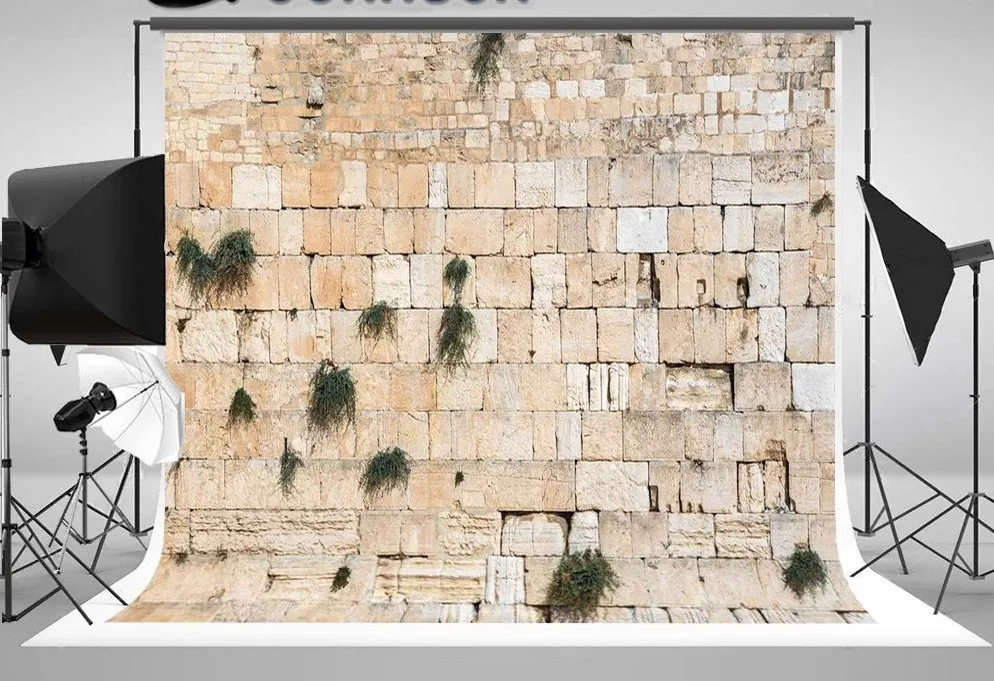 

Израиль Иерусалимский западный пластинчатый стена рок старый город фоны компьютерный принт свадебный фон для фотостудии