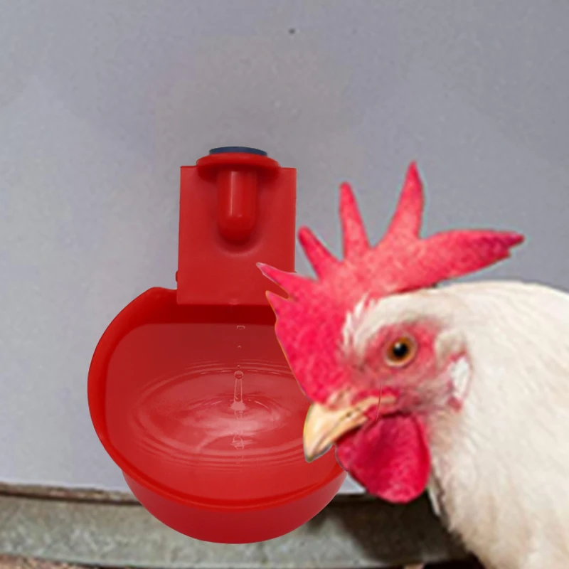 5/10/20/50 Buah Mangkuk Minum Ayam Dispenser Air Otomatis Unggas Dispenser Air Otomatis Merpati Mangkuk Makan Anak Ayam Kecil