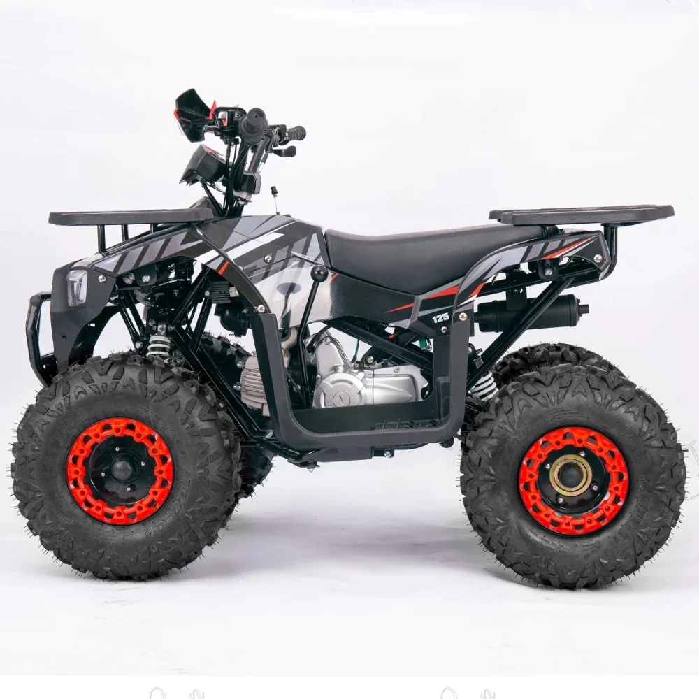 125cc Quad ATV 4-Stroke Engine with CE 50Km/h for Adults Suitable for Off-road