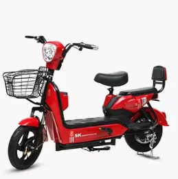 High Quality Electric Bicycle with Rear Hub Motor Factory Wholesale 48V 3 Speed Steel Frame Digital Sensor Smart Type