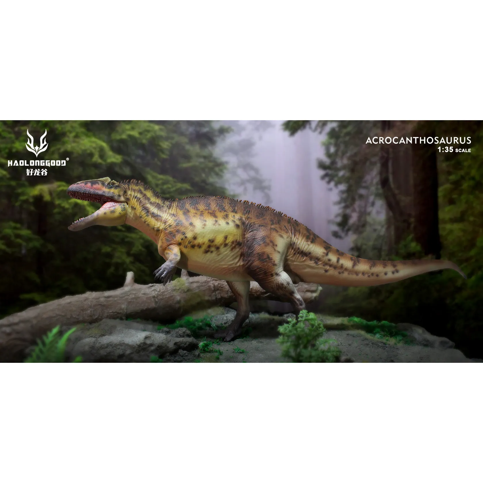 Nowy HaoLongGood HLG-187 Acrocanthosaurus 1/35 Figurki Dinozaurów z Okresu Jurajskiego Model Dinozaurów Acrocanthosaurus Kolekcjonerski Model Zabawka Prezent