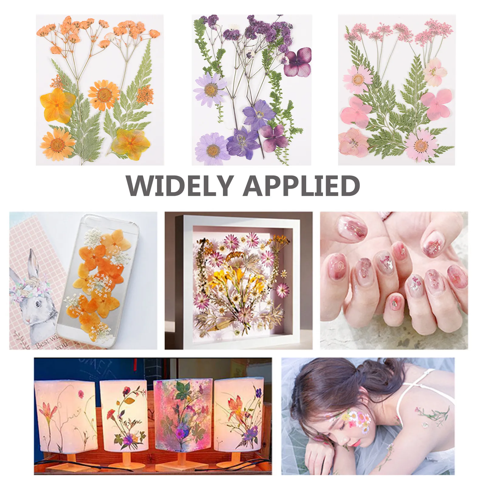 Flores Secas Decorativas, Mate - Resin Craft Material reseña y precio