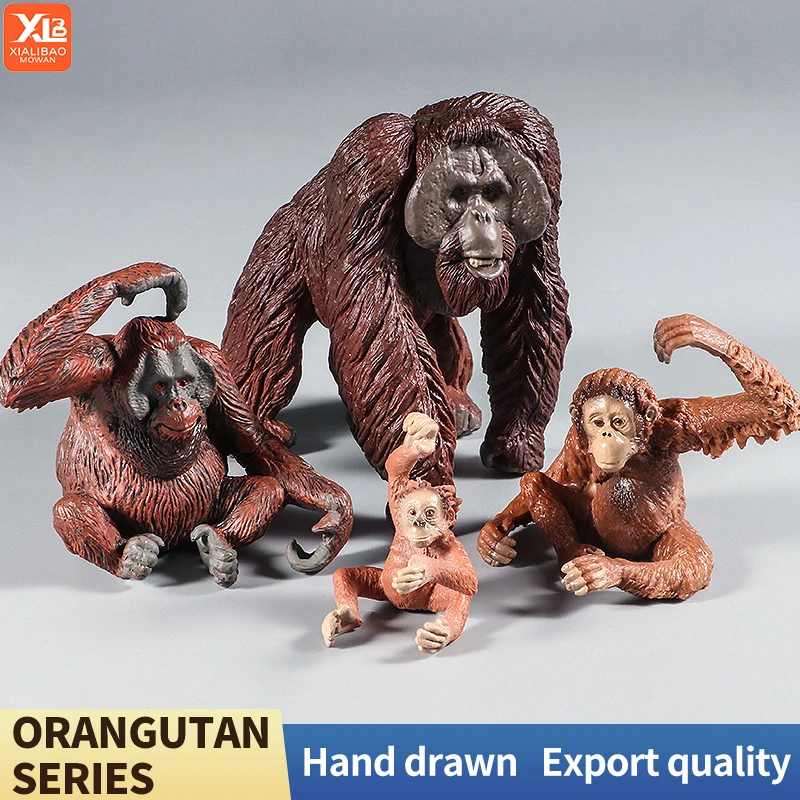 Orangutan ve Goril Arasındaki Fark Nedir?
