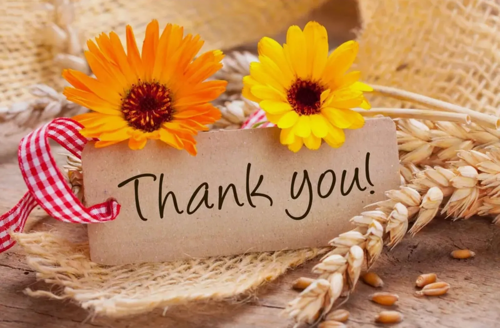 تي شيرت Magdalena Bay Imaginal Mystery Tour 2025 هدية للمعجبين من S إلى 5XL