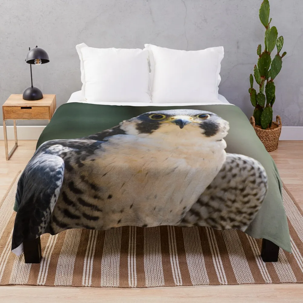 

Peregrine falconThrow Blanket Sofa Throw Blanket Large Blanket Throw And Blanket