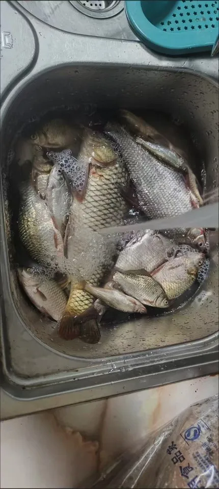 리뷰 사진