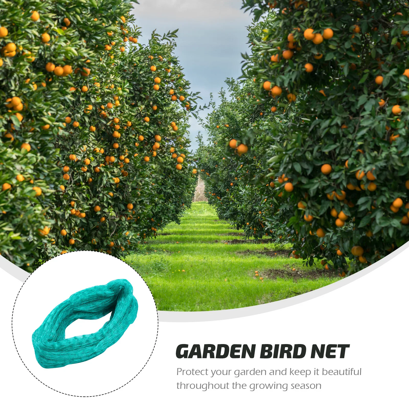 

1Pcs Anti Bird Protective Net Durable Mesh for Orchard Vineyard Plant Garden Netting Net Protecting Netting Protective Mesh