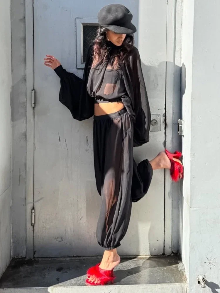 Weird Puss See Through Mesh T-Shirt Women Autumn Trend Turtleneck Lantern Sleeve Fashion Classic Street Club Hottie  Style Tess