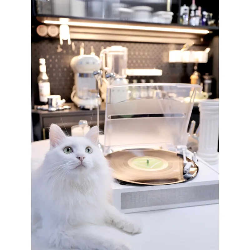 

Bluetooth vinyl record player all-white body desktop phonograph player
