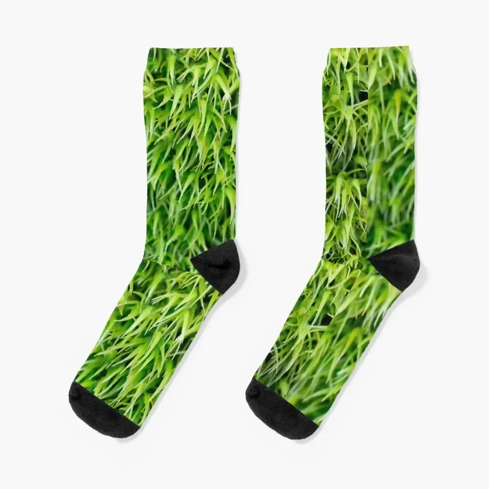 Grassy Plain Socks Crossfit gym Hiking boots sheer Socks For Women Men's
