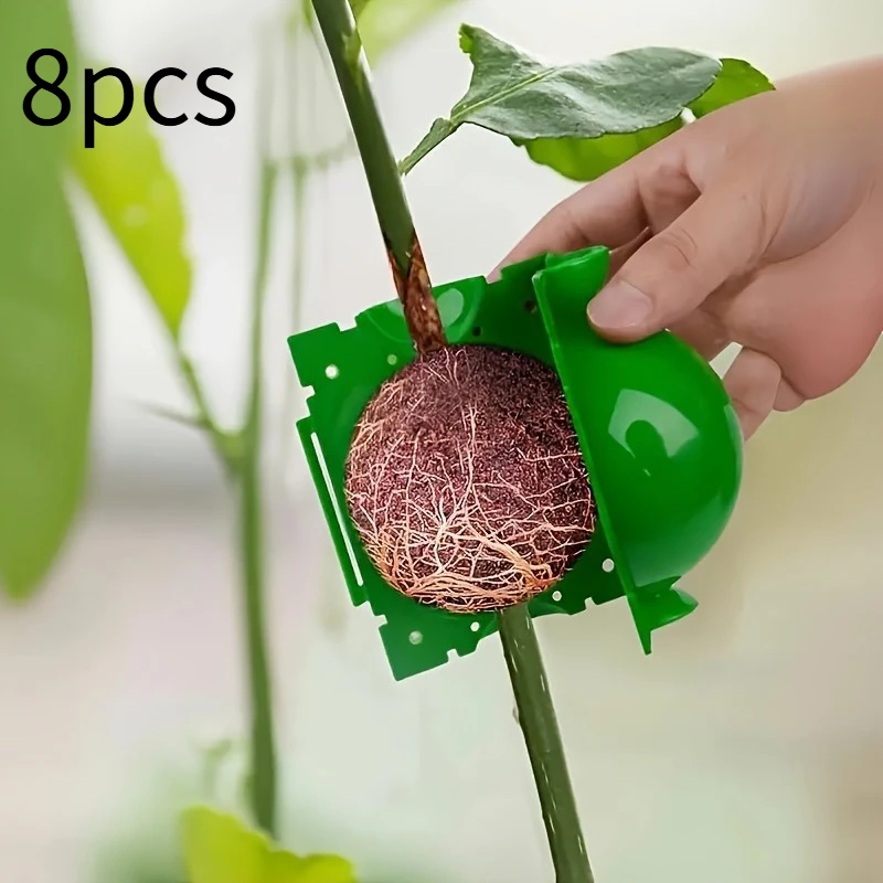 8pcs plastic plant rooting ball grafting tools with a diameter of 5 cm/1.97 inches, green high