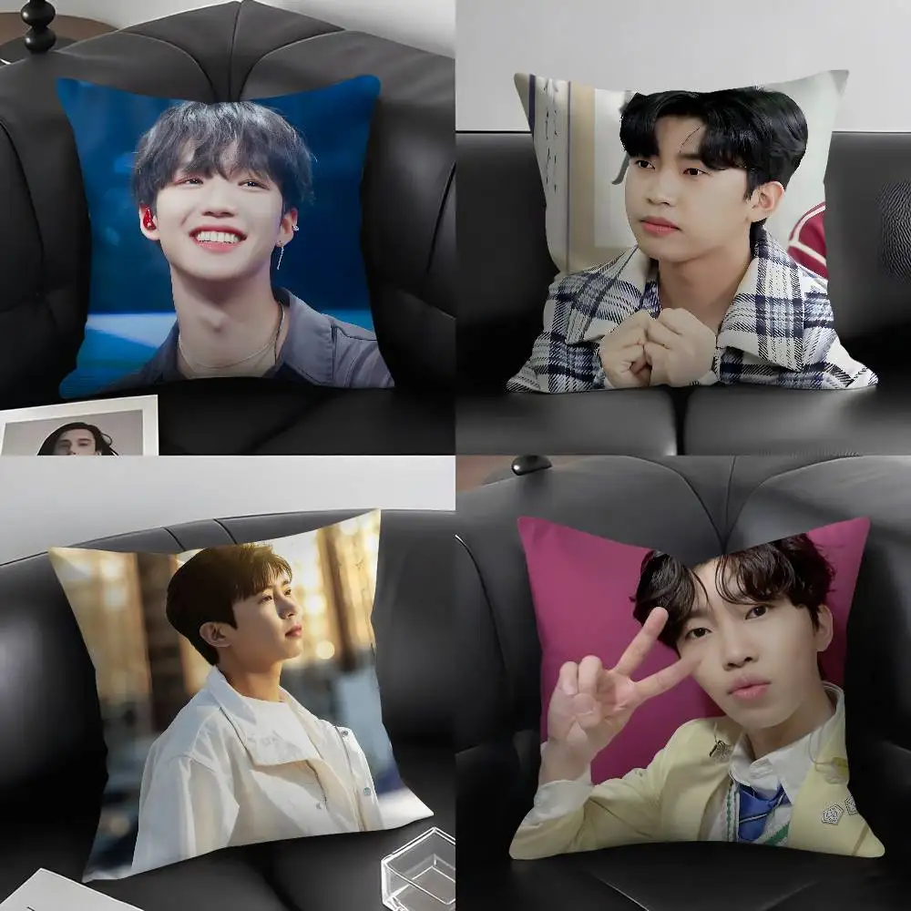 

Cool Singer L-Lim Young W-Woong Pillow Case Soft Plush Fabric Double Sided Print Decorative Home Living Room Gift Cushion Cover