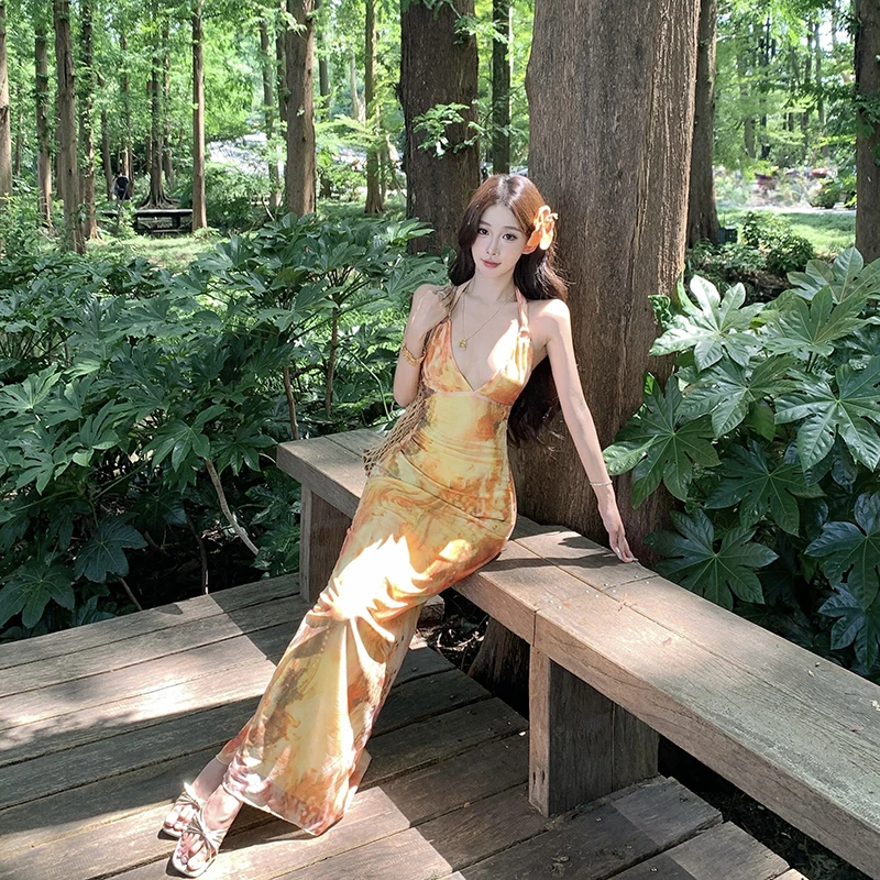 2026 Vacation Vibes Floral Print V-Neck Hanging Neck Dress Women Sexy Backless Waist-Cinched Hip-Hugging Long Gown Mesh
