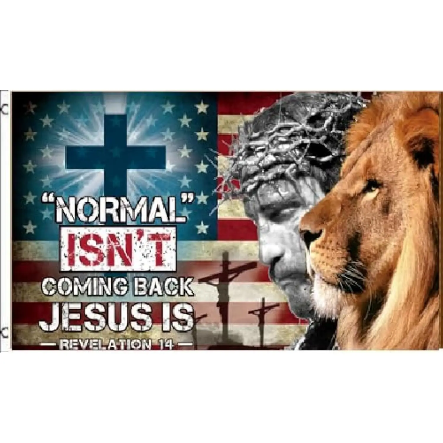 Jesus Christ Lion Normal Isn't Coming Back Revelation Flag Banner Christian