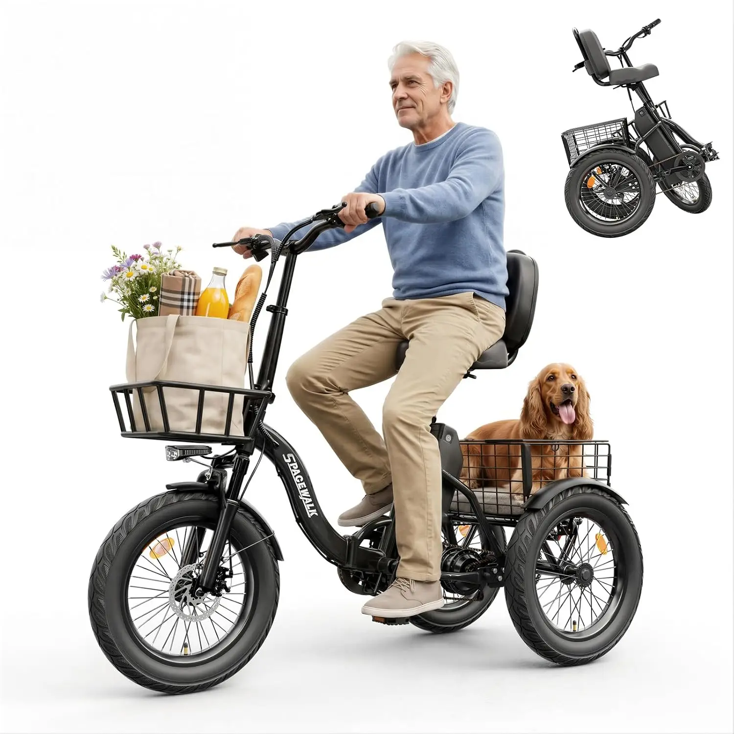 Electric Bike for Adults,E Trike with 748.8Wh Removable Battery | Peak 1200W Brushless Motor, 3 Wheel Electric Bike, Customized