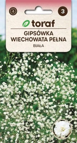Semences de fleurs blanches Peer Paniculate - 506 Toraf