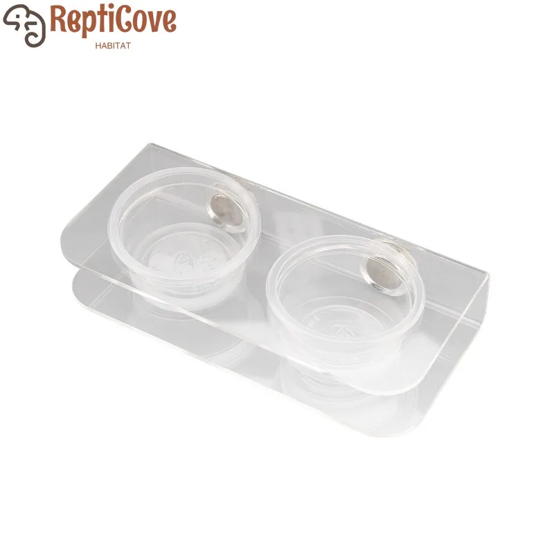 Magnetic Reptile Fr…