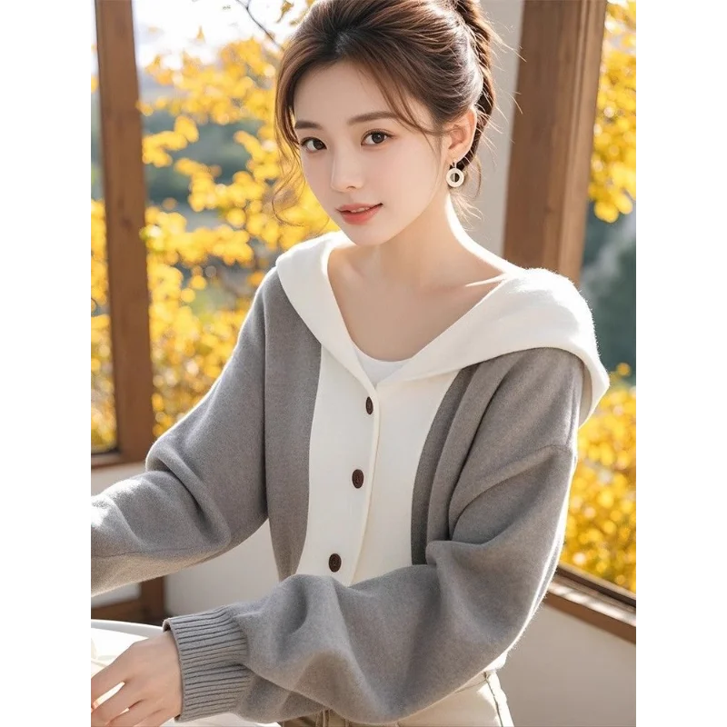 

Korean Style Autumn and Winter Hooded Sweater Women's Top