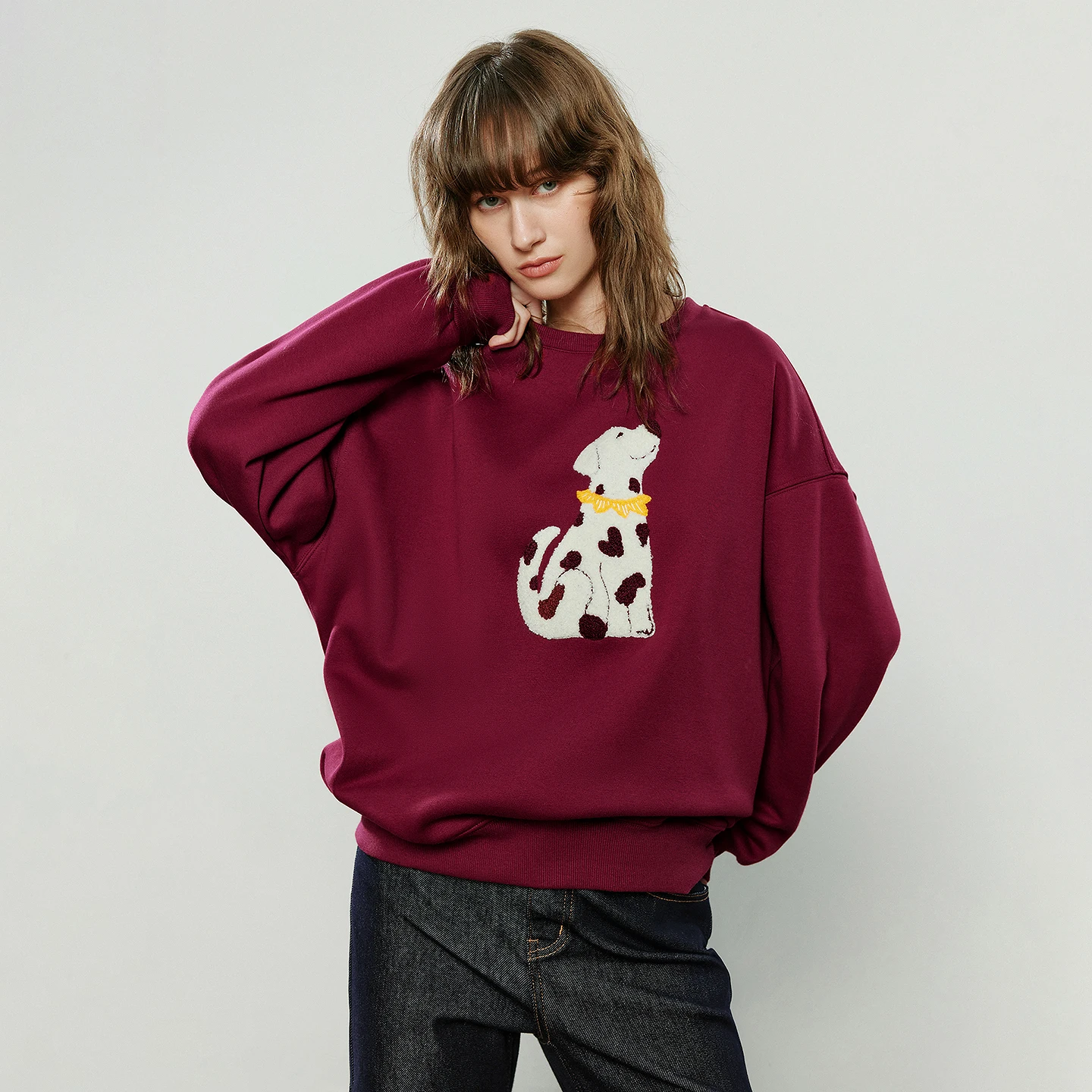 TOYOUTH Women Hoodies 2025 Winter New Crew-neck Loose Heavy-duty Puppy Applique Embroidery Age-reducing Fleece-Lined Warm Tops