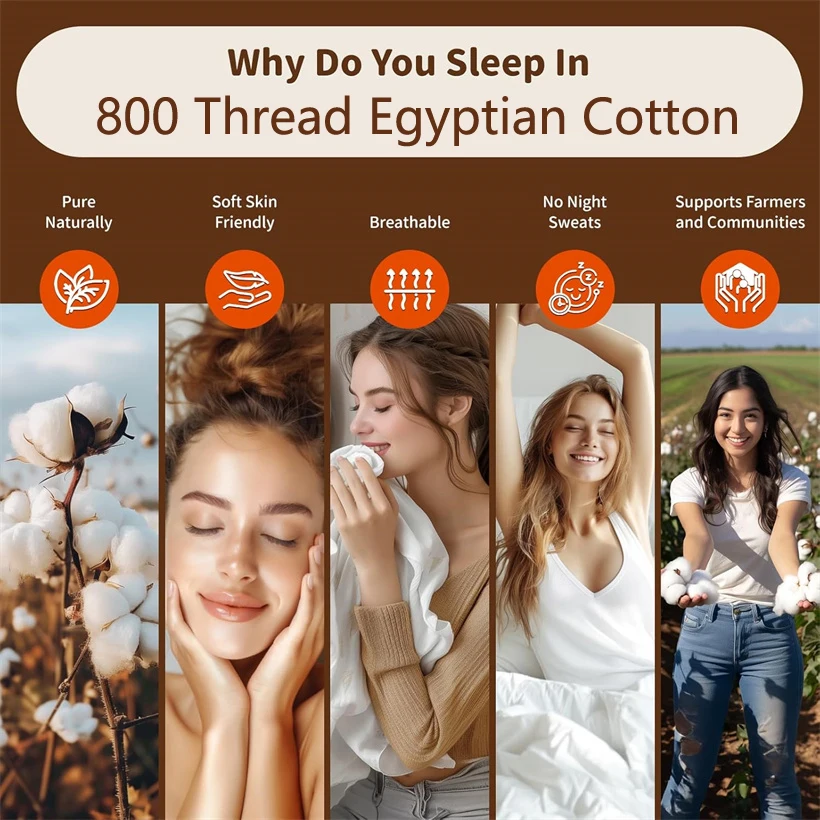 Luxury Organic Egyptian Cotton Pillow Case with Long Staple Cotton 800TC Sateen Weave Silky Soft Bed Pillow Covers Pillowcase