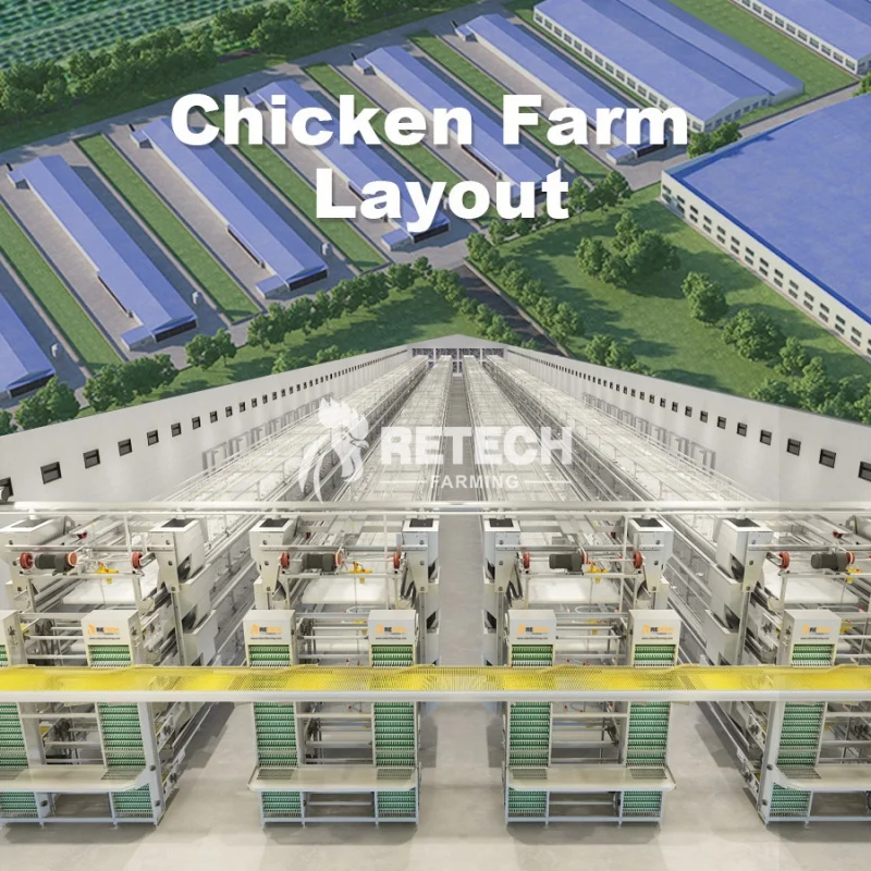 自動鶏舎ケージ養鶏設備