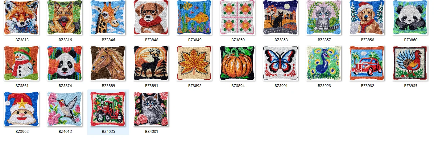 Latch Hook Kit Rug …