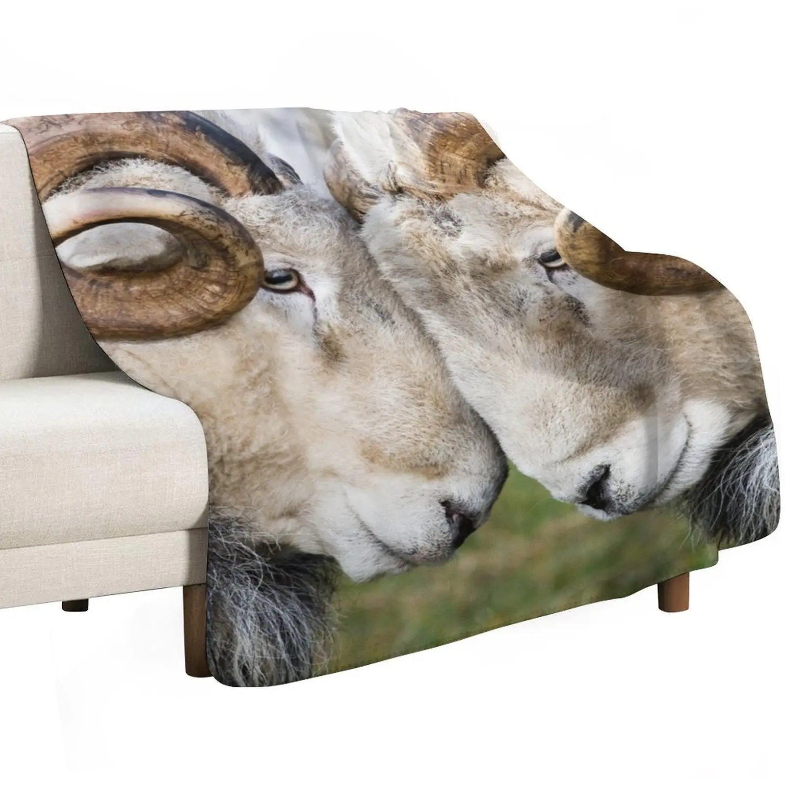 

Herdwick Rams Throw Blanket Hairy Thin Shaggy Cute Blankets