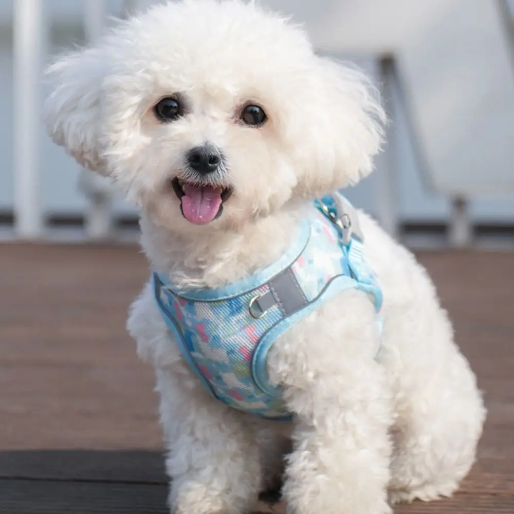 

Adjustable Dog Harness Leash Set Reflective Mesh Pet Vest Style Harness Breathable Kawaii Pet Chest Strap Daily Walk