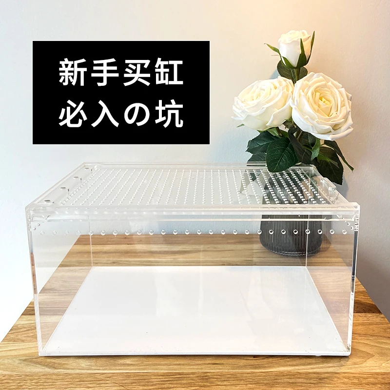 Hermit crab acrylic feeding box transparent feeding box horned frog snail lizard