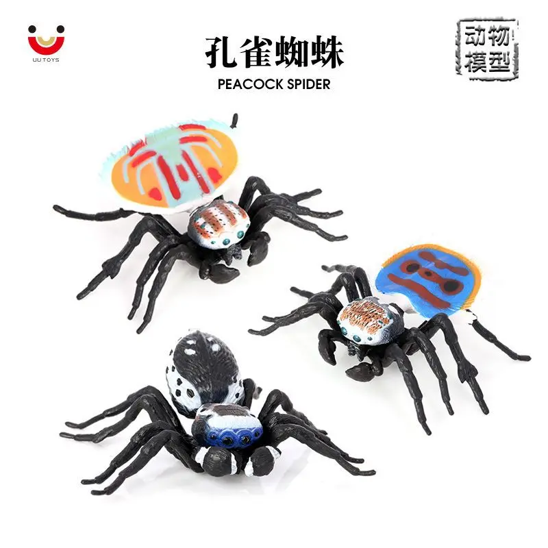 Simulation spider insect animal model solid plastic ornament peacock spider children's cognitive toy tricky props