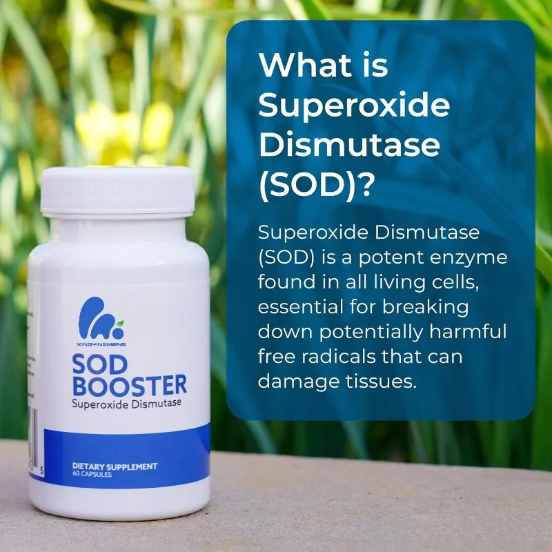 

SOD Booster - Dismutase Supplement -60 Capsules of SOD Supplement | Best Antioxidant Supplement