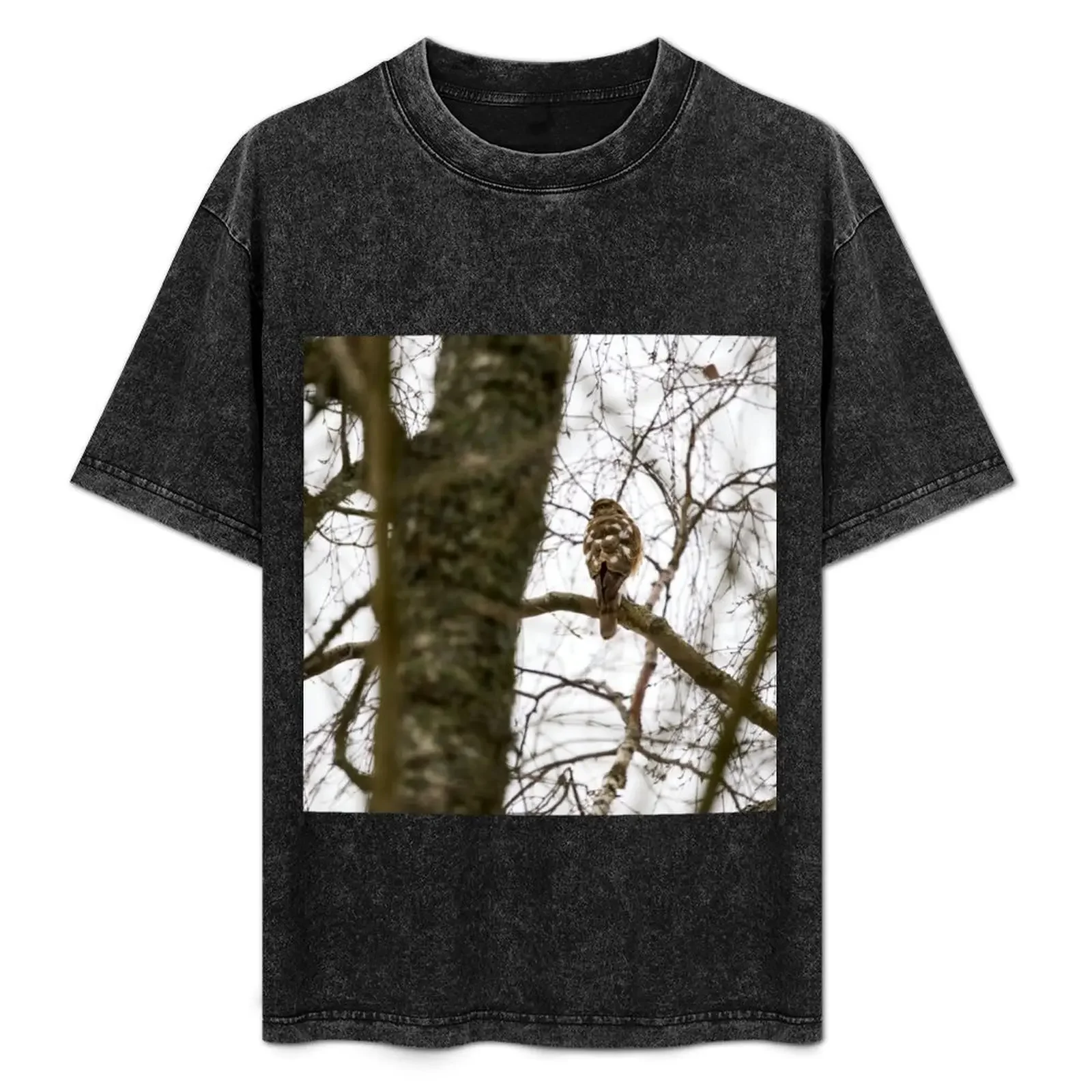 The Young One. Eurasian sparrowhawk T-Shirt man clothes plain Men's t shirts