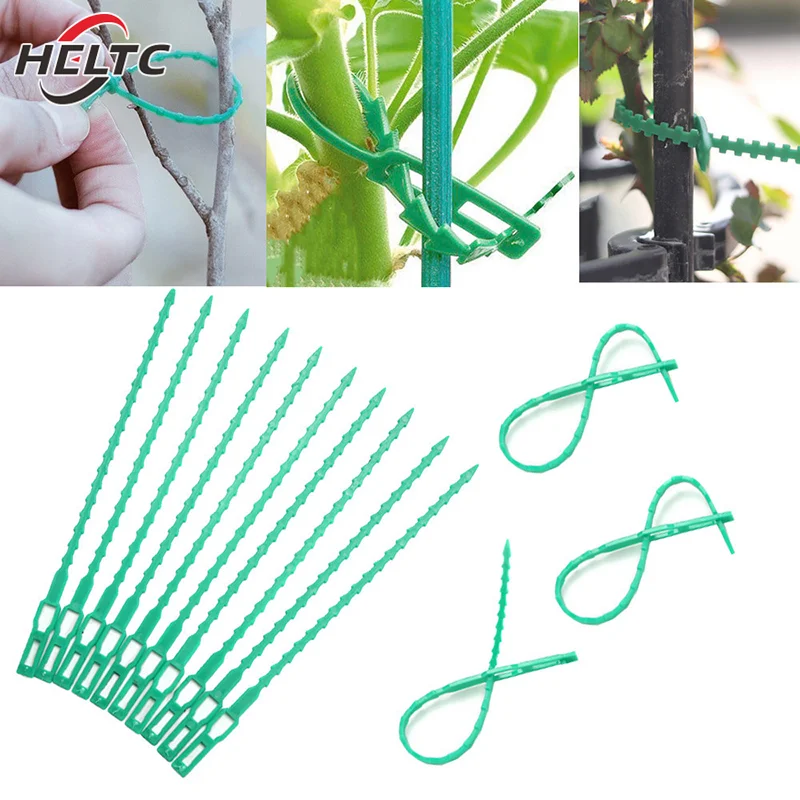 50Pcs Adjustable Plastic Plant Cable Ties Reusable Garden Tree Climbing Support Plant Vine Tomato Stem Clip Plant Straps Tools