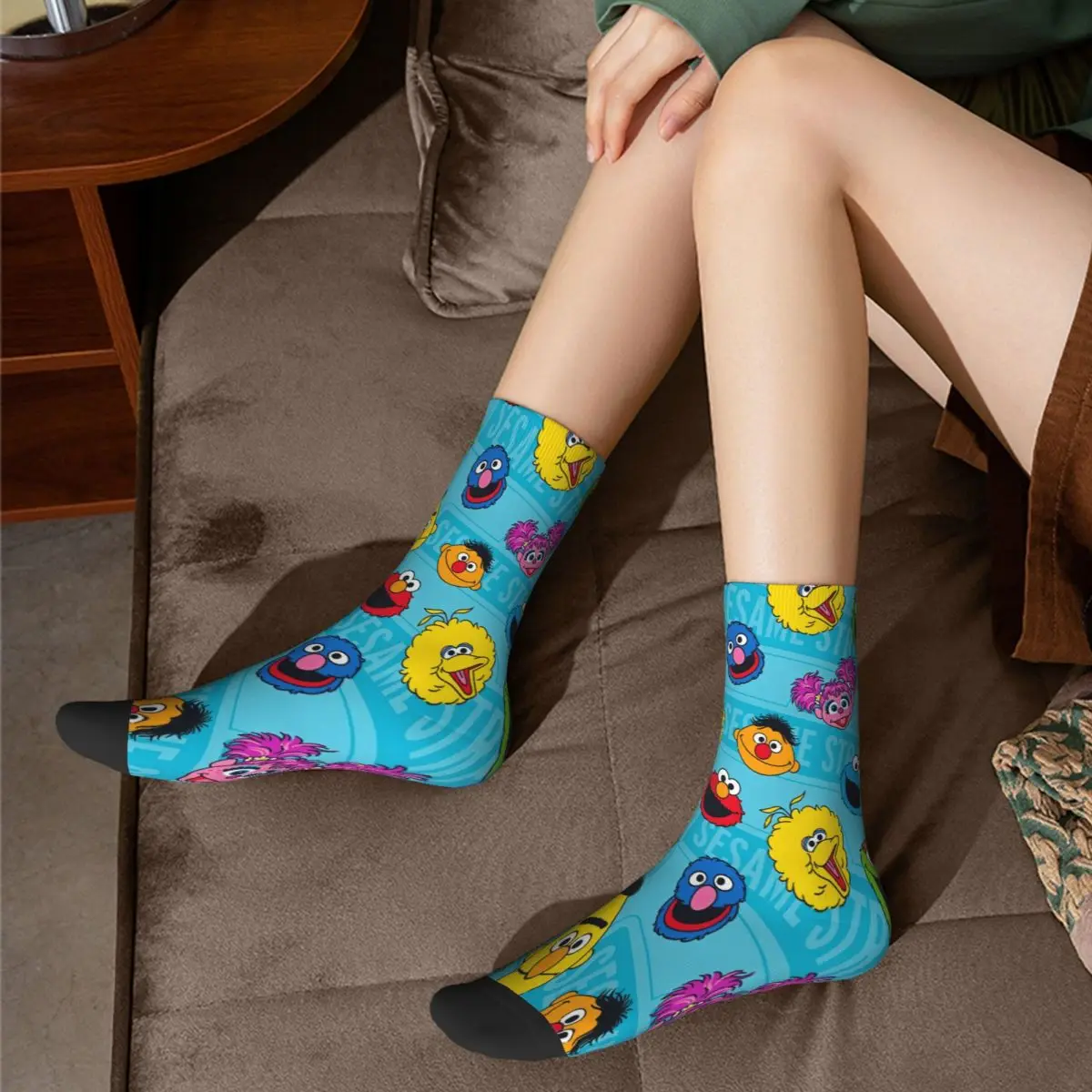 Friends Sesame Street Socks Male Mens Women Summer Stockings Polyester