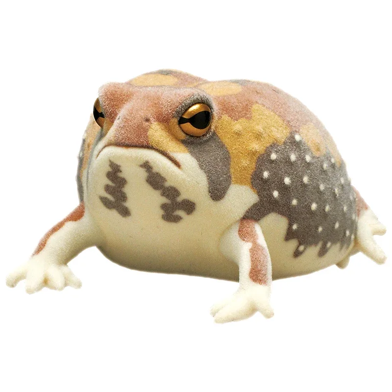 Breviceps Adspersus Gashapon Kolekcja Ozdoba na Biurko Figurka Akcji Model Zabawki Flokowane