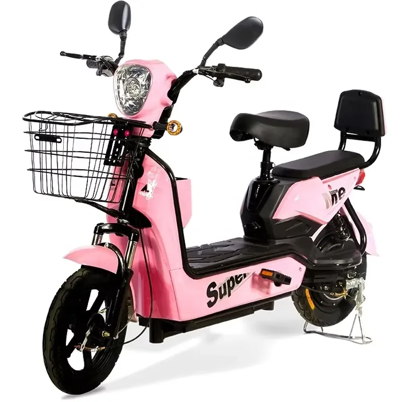 Paige 48V12A 350W E Bike Dirt Bike Outdoor Vehicle Bike From China