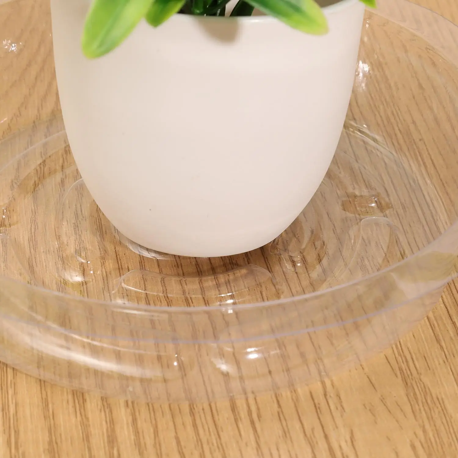 Thumbnail 4 - #23 Highest Rated Garden Pot Saucers & Trays to Buy in 2026