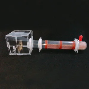 أعلى 8 مبيعات لملكة النمل - رقم 6