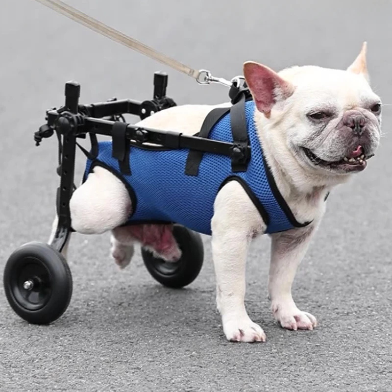 

Dog Wheelchair Rehabilitation Walking Assistance For Disabled Pets Mobility Aid For Elderly And Paralyzed Puppies