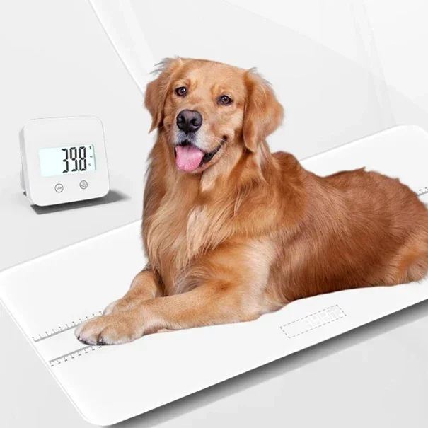 Large Size Plane Household 100kg Digital Electronic Weighing Dog Cat Pet ABS plastic glass Platform Smart APP LED Weight Scale