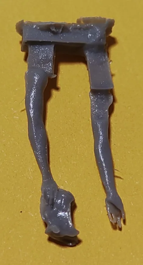 Buyer photo of this resin kit