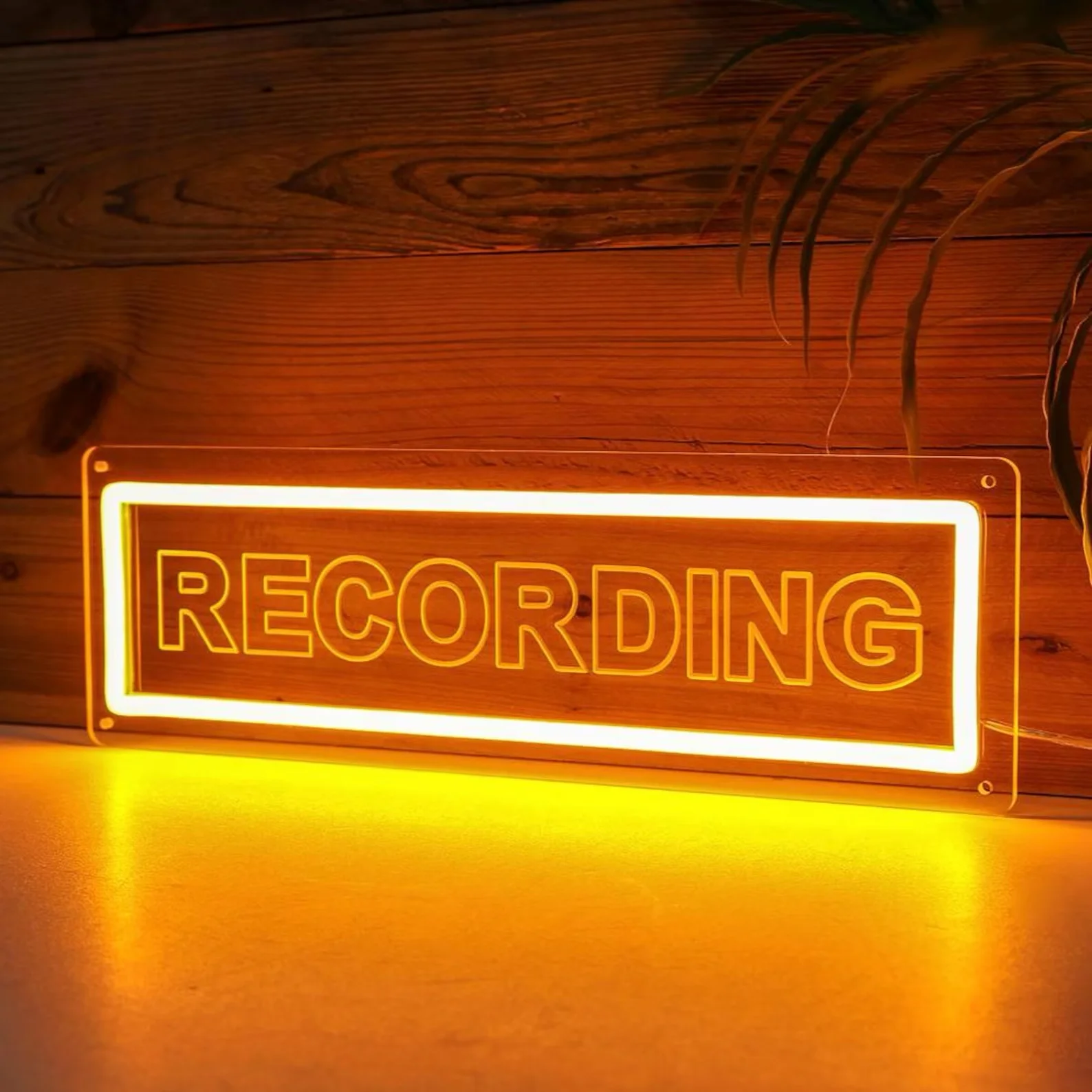 Handmade Recording LED Neon Sign, Studio DJ Room Decor, Recording USB Neon Light Sign, Recording Room Decor Workplace Decor