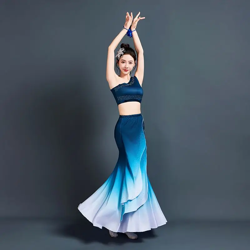New Adult Clothing Dai Dance Performance Costume Female Art Examination Peacock Dance Practice Clothes